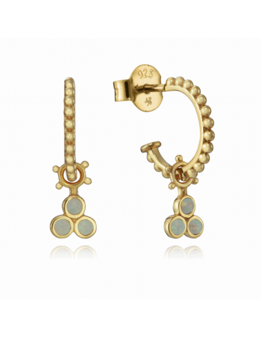 61055E100-46  *  Pendientes Viceroy...