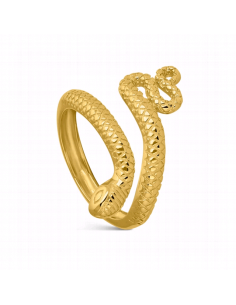 9111156  *  Anillo Plata...