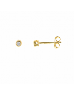103A0117   Pendientes Plata...
