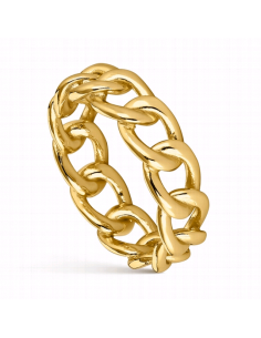 9111888  *  Anillo Plata...