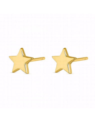 9109031  *  Pendientes Plata Chapado...