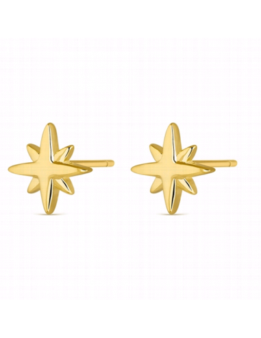 9109025  *  Pendientes Plata Chapado...