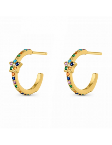 9113173  *  Pendientes Plata Chapada...