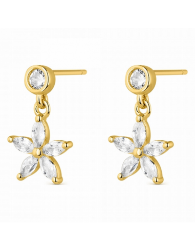 9111178  *  Pendientes Plata Chapada...