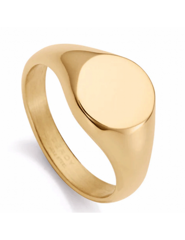 75335A  *  Anillo Acero Ip Dorado...