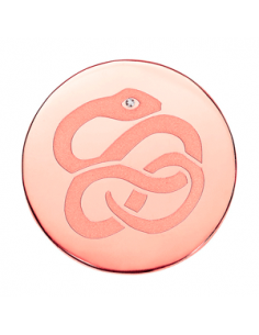 Moneda Acero IP Cobre...