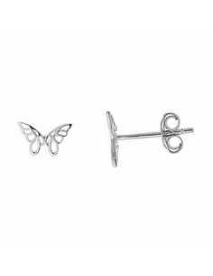 213A0343  *  Pendientes...