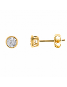 103A0118   Pendientes Plata...