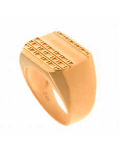 256S0035  *  Anillo Plata...