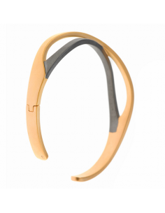 256P0018  *  Brazalete... 2