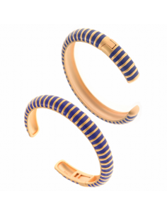256P0017  *  Brazalete...