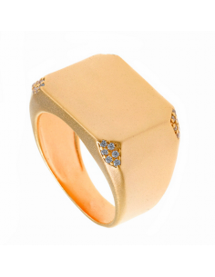 256S0025  *  Anillo Plata...