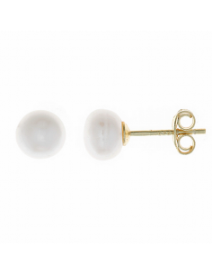 213A0305   Pendientes...