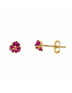 213A0462  Pendientes Plata...