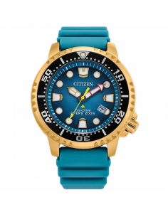 BN0162-02X Reloj Hombre...