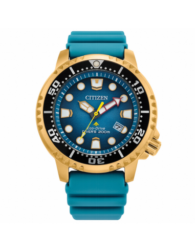 BN0162-02X Reloj Hombre Acero Citizen...