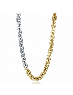 Collar Acero Bicolor...