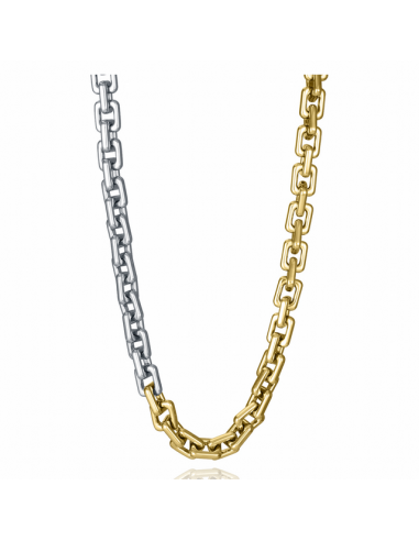 Collar Acero Bicolor Viceroy Fashion...