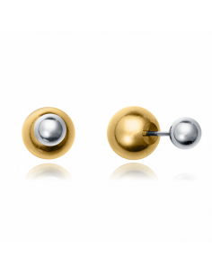 Pendientes Acero Bicolor...
