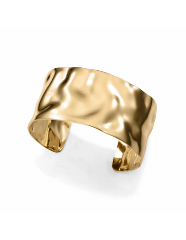 15157P01012   Brazalete Acero IP...