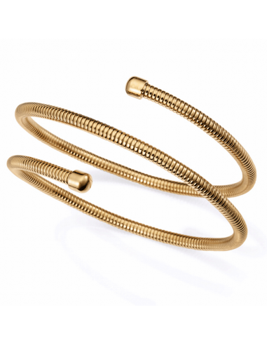 Brazalete Acero Ip Dorado Viceroy...