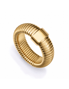 75393A   Anillo Acero Ip...