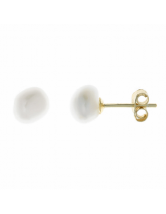 213A0299   Pendientes...