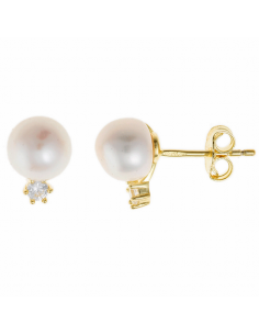 272A0007  Pendientes Plata...