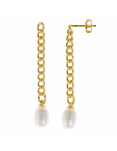 272A0018  Pendientes Plata...