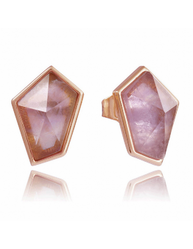 8103E100-47  *  Pendientes  Viceroy...