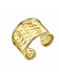 LS2439-3/2 Anillo Acero IP...