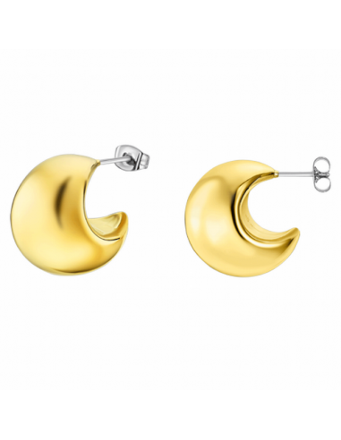 LS2429-4/2   Pendientes Acero IP...