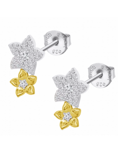 LP3836-4/2 Pendientes Plata...