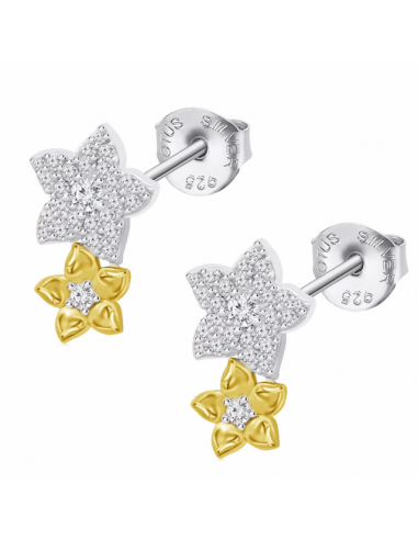LP3836-4/2 Pendientes Plata Bicolor...