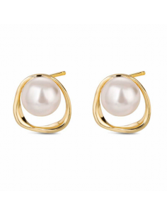 Pendientes de Plata Chapada...