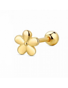 9119699 Piercing Plata...