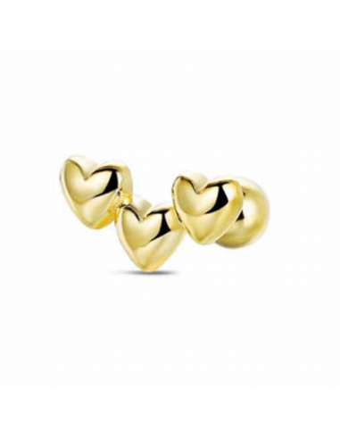 9121884   Piercing Plata Chapada...