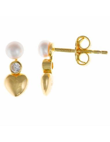 272A0027 Pendientes Plata Bañada Oro....