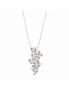 272C0034 Collar Plata Baño...
