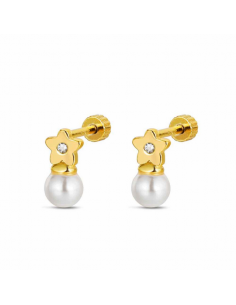9121776   Pendientes Plata...