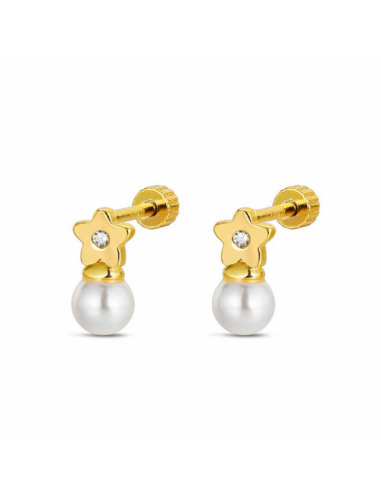 9121776   Pendientes Plata Chapada...