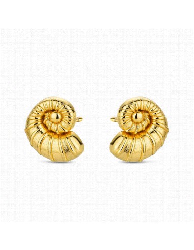 9122803   Pendientes Plata Chapada...