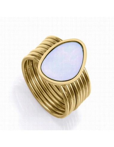 14321A   Anillo Acero Ip Dorado...