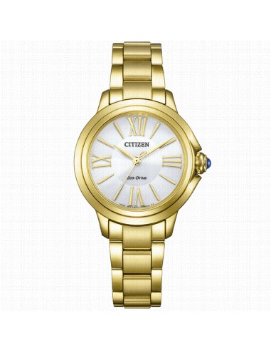 EM1162-52A   Reloj Mujer Acero Ip...