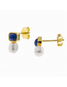 272A0054   Pendientes Plata...