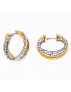268A0131   Pendientes Plata...