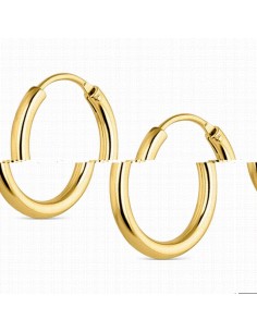 9110598   Pendientes Plata...