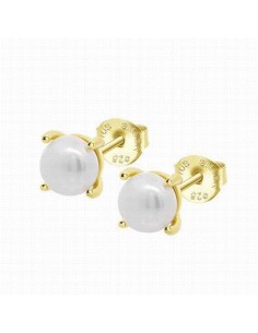 LP3409-4/4   Pendientes...