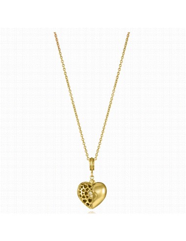 75436C01012   Collar Acero Ip Dorado...
