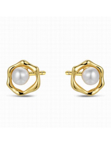 9124649   Pendientes Plata Chapada...